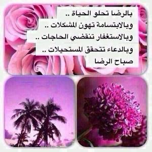 Meet your Posher, Fatima